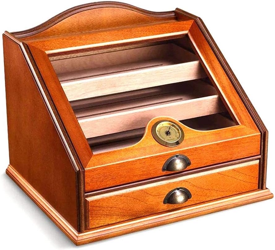 鳳華フィカス 根上り 根を楽しむ おしゃれベンガレンシス フィカス